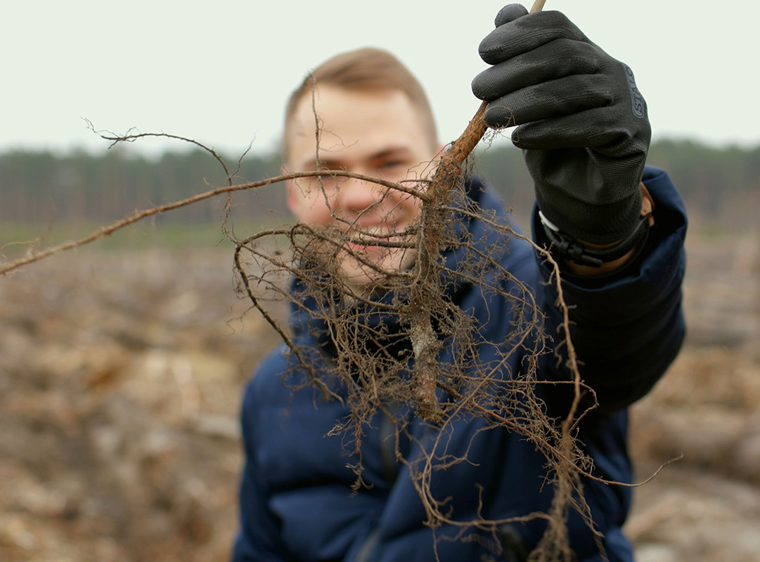 Photo of a man holding a root