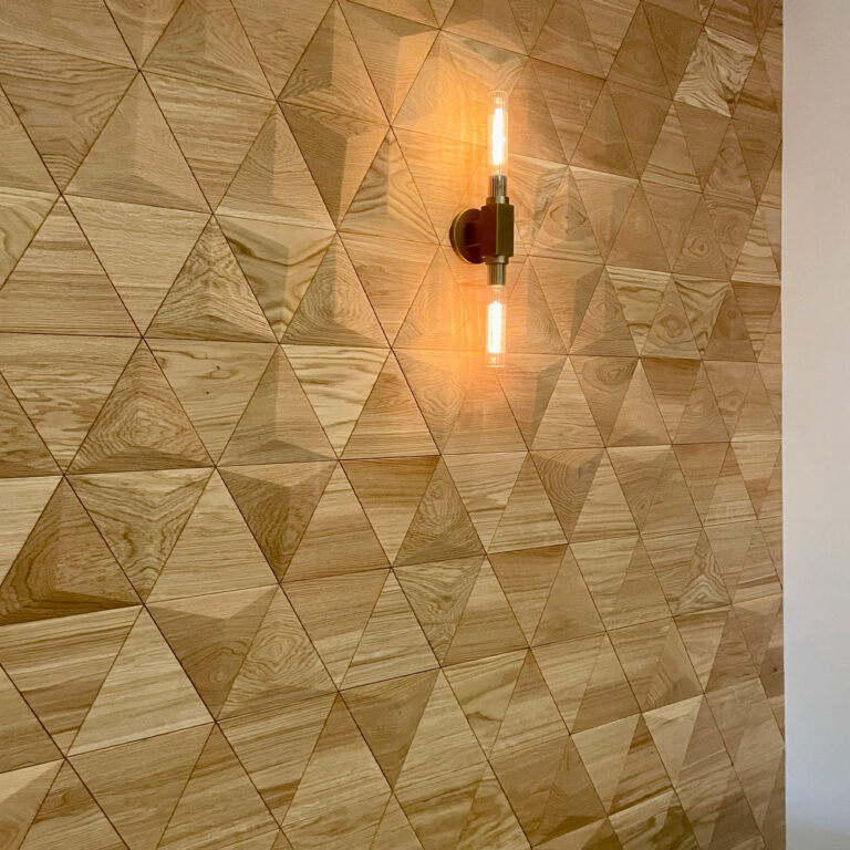 Wall panels with integrated lighting to highlight texture