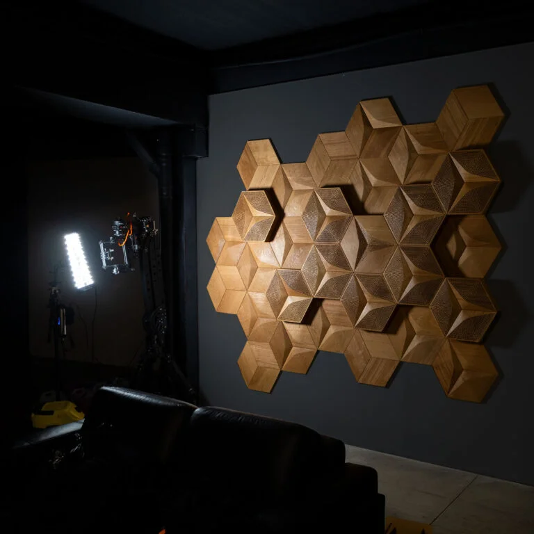 Interior with acoustic panels