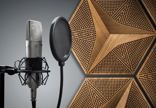 Professional studio microphone in front of perforated geometric oak wood acoustic panels.